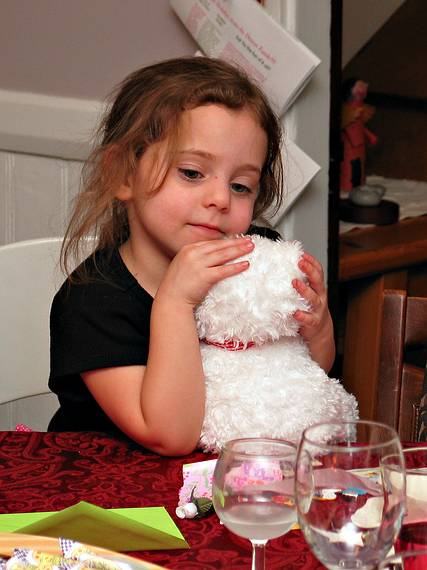 Miranda with dog given to her by Memere Marie.<br />Miranda's 4th birthday and Melody's birthday celebration.<br />Dec. 26, 2005 - Merrimac, Massachusetts.
