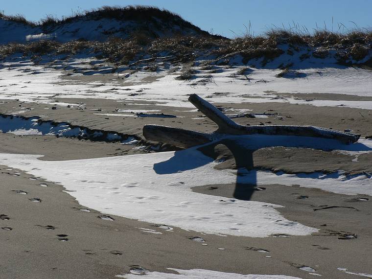 Dec. 27, 2005 - Parker River National Wildlife Refuge, Plum Island, Massachusetts.