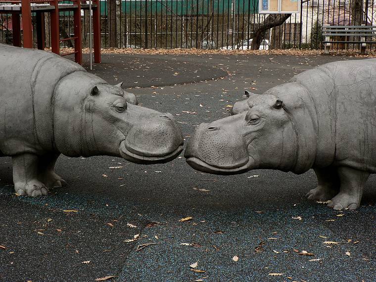 Jan. 1, 2006 - A playground in Grand Central Park, New York, New York.