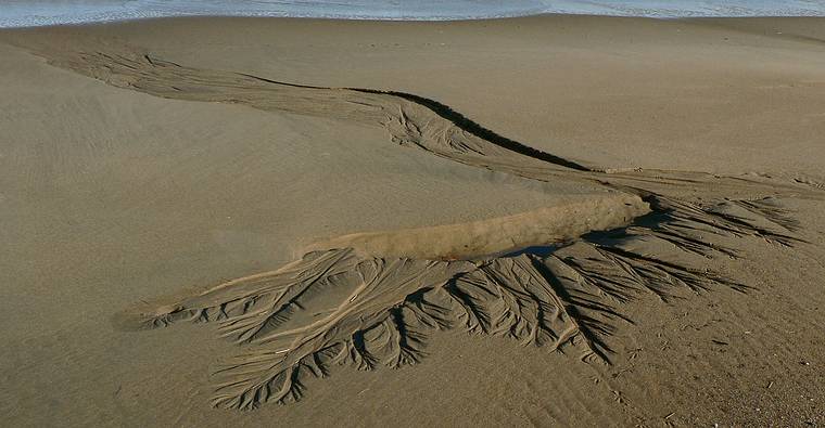 Jan. 7, 2006 - Parker River National Wildlife Refuge, Plum Island, Massachusetts.