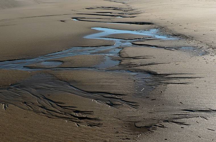 Jan. 7, 2006 - Parker River National Wildlife Refuge, Plum Island, Massachusetts.