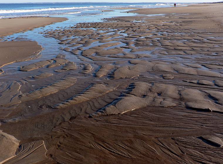 Jan. 7, 2006 - Parker River National Wildlife Refuge, Plum Island, Massachusetts.
