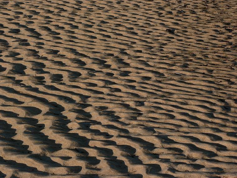 Jan. 10, 2006 - Parker River National Wildlife Refuge, Plum Island, Massachusetts.