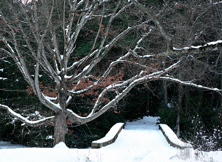 Jan. 26, 2006 - Maudslay State Park, Newburyport, Massachusetts.
