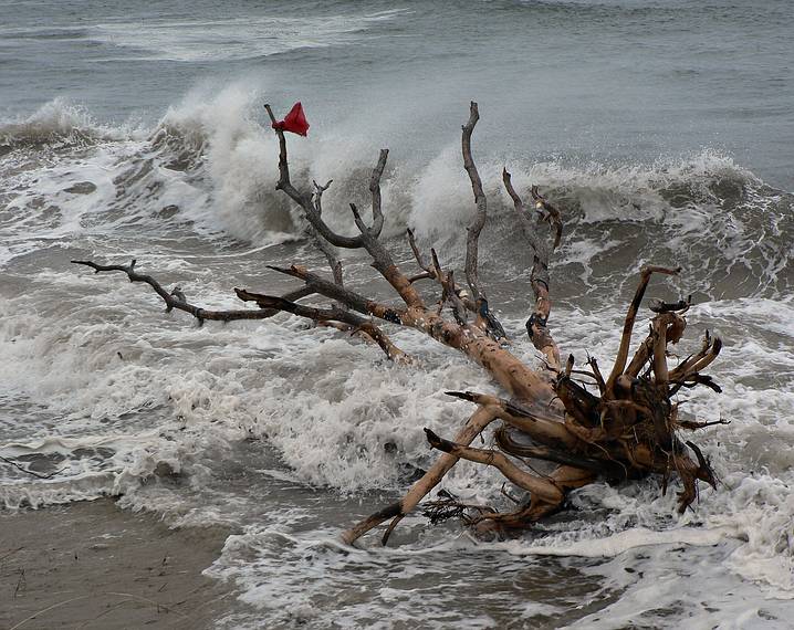 Jan. 31, 2006 - Sandy Point State Reservation, Plum Island, Massachusetts.