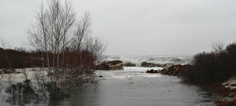 Jan. 31, 2006 - Sandy Point State Reservation, Plum Island, Massachusetts.<br />The storm breaching the dunes and flooding birches.