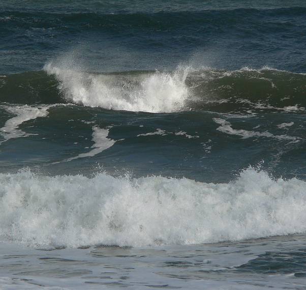 Feb. 1, 2006 - Parker River National Wildlife Preserve, Plum Island, Massachusetts.