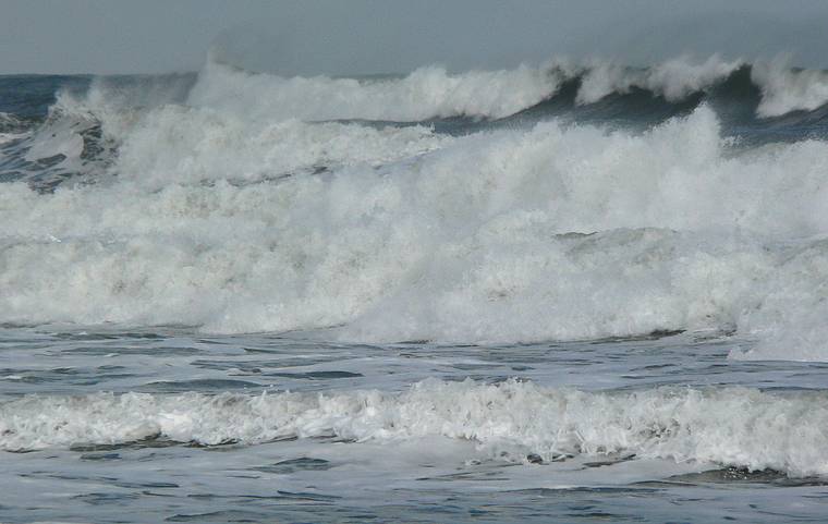 Feb. 1, 2006 - Parker River National Wildlife Preserve, Plum Island, Massachusetts.