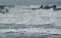 Feb. 1, 2006 - Parker River National Wildlife Preserve, Plum Island, Massachusetts.