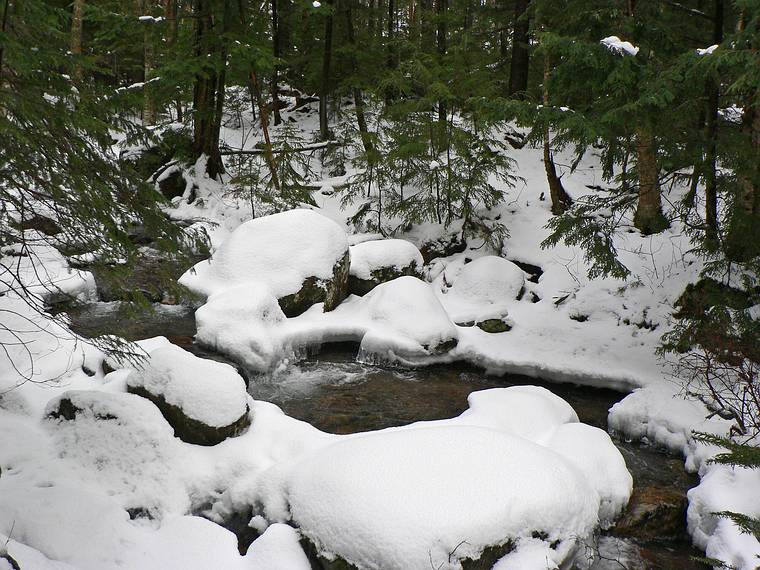 Feb. 3, 2006 - White Mountains, New Hampshire.<br />Along Nineteen Mile Brook Trail on the aborted way to Carter Notch Hut.