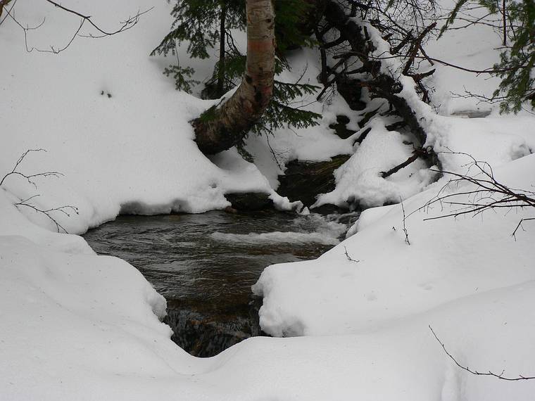Feb. 5, 2006 - White Mountains, New Hampshire.<br />Hike from Carter Notch Hut to Rt. 16 along Nineteen Mile Brook Trail.