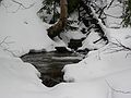 Feb. 5, 2006 - White Mountains, New Hampshire.<br />Hike from Carter Notch Hut to Rt. 16 along Nineteen Mile Brook Trail.