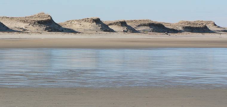 Feb. 9, 2006 - Parker River National Wildlife Preserve, Plum Island, Massachusetts.<br />Dunes at southern end of the island.