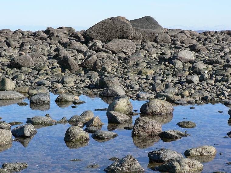 Feb. 9, 2006 - Parker River National Wildlife Preserve, Plum Island, Massachusetts.