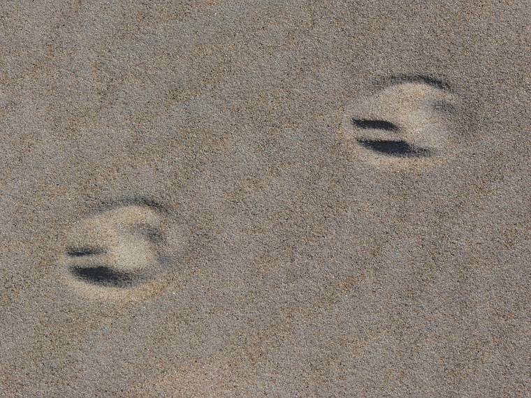 Feb. 9, 2006 - Sandy Point State Reservation, Plum Island, Massachusetts.