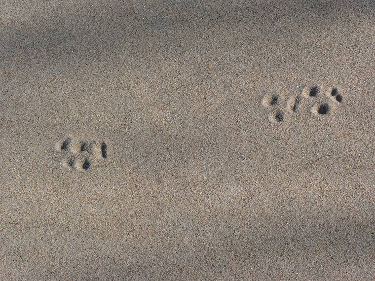 Feb. 9, 2006 - Sandy Point State Reservation, Plum Island, Massachusetts.