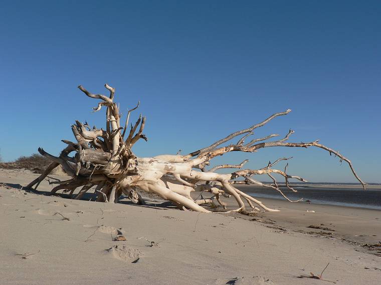 Feb. 9, 2006 - Sandy Point State Reservation, Plum Island, Massachusetts.