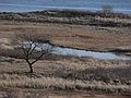 Feb. 11, 2006 - Crane Beach, Ipswich, Massachusetts.<br />A Trustees of Reservations property.