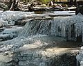 Feb. 18, 2006 - White Mountains, New Hampshire.<br />Along Smarts Brook Trail off Rt. 49 near Waterville Valley.