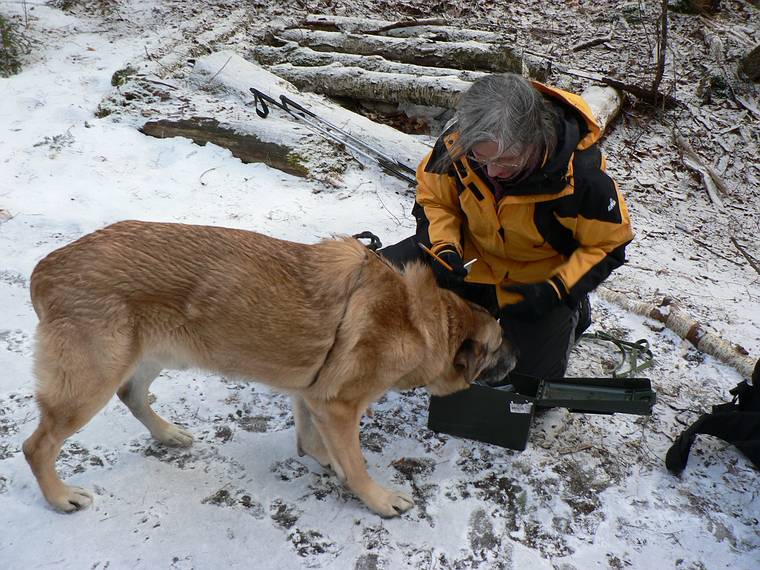 Feb. 18, 2006 - Off Rt. 49 in the White Mountains, New Hampshire.<br />Joyce and friend (one of Hallorans dogs) inspecting the cache.