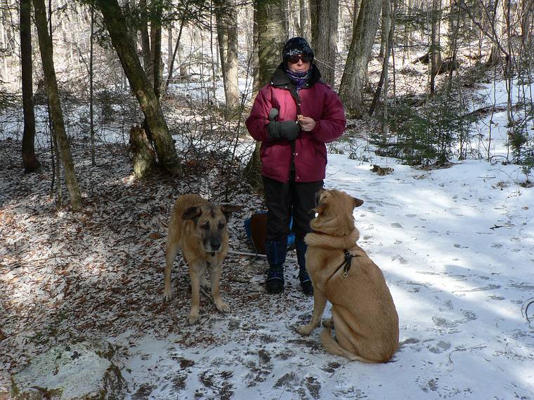 Feb. 18, 2006 - Off Rt. 49 in the White Mountains, New Hampshire.<br />Nancy with her two dogs.