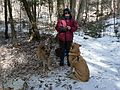 Feb. 18, 2006 - Off Rt. 49 in the White Mountains, New Hampshire.<br />Nancy with her two dogs.