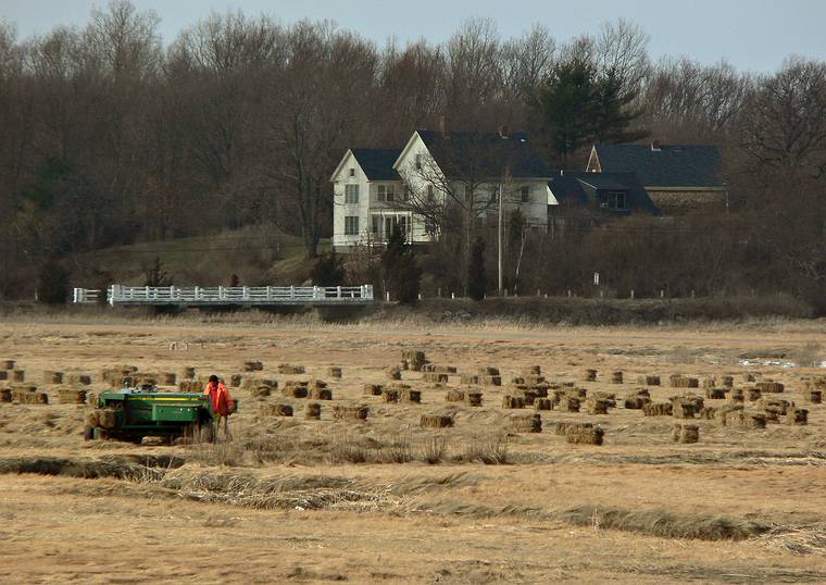 Feb. 21, 2006 - Old Town Hill (Trustees of Reservations), Newbury, Massachusetts.