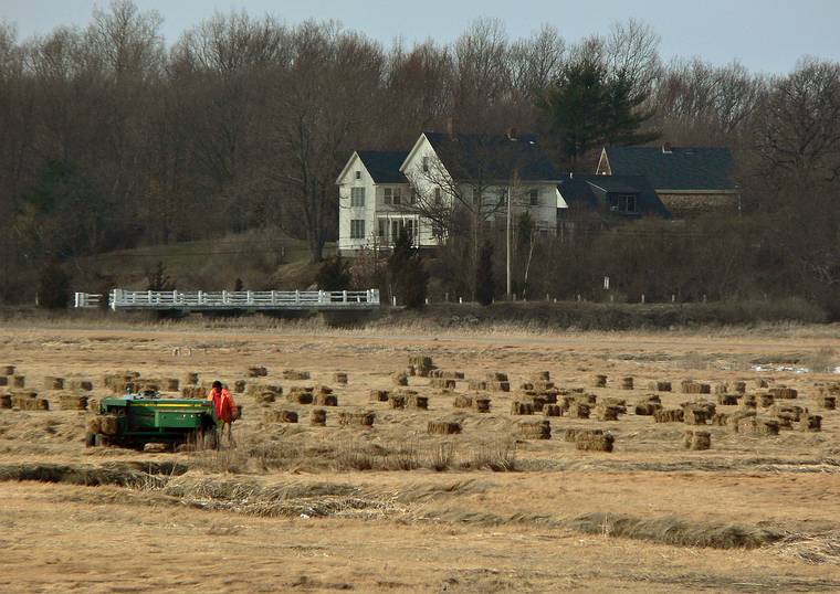 Feb. 21, 2006 - Old Town Hill (Trustees of Reservations), Newbury, Massachusetts.