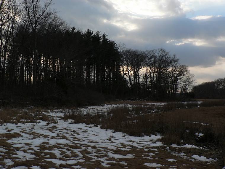 Feb. 21, 2006 - Old Town Hill (Trustees of Reservations), Newbury, Massachusetts.
