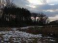 Feb. 21, 2006 - Old Town Hill (Trustees of Reservations), Newbury, Massachusetts.