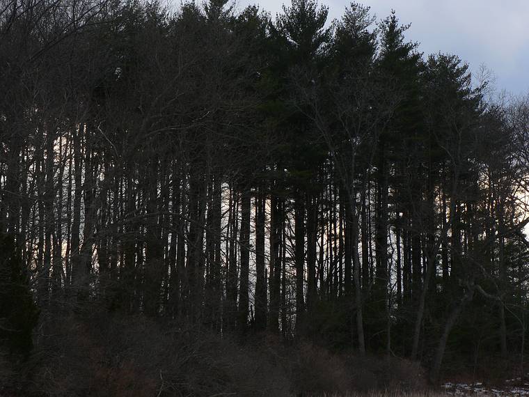 Feb. 21, 2006 - Old Town Hill (Trustees of Reservations), Newbury, Massachusetts.