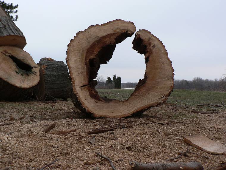 Feb. 23, 2006 -  Jeffrey's Neck Road, Ipswich, Massachusetts.<br />Greenwood Farm (a Trustees of Reservations property).