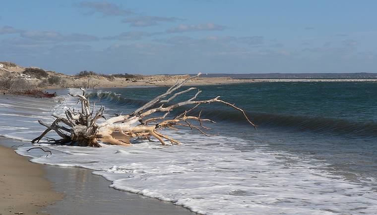 March 3, 2006 - Sandy Point State Reservation, Plum Island, Massachusetts.