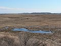 March 14, 2006 - Parker River National Wildlife Refuge, Plum Island, Massachusetts.<br />View from Pines Trail platform.