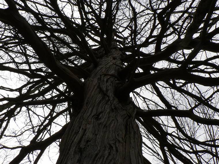 March 23, 2006 - Deer Island, Amesbury, Massachusetts.