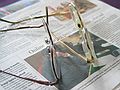 March 28, 2006 - Merrimack, Massachusetts.<br />My new and old glasses, which will be recycled soon.