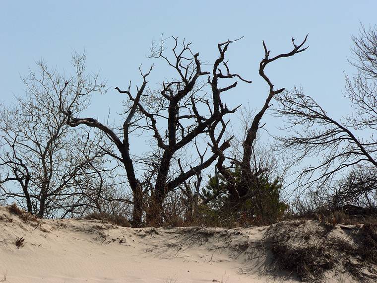April 20, 2006 - Crane Beach, Ipswich, Massachusetts.