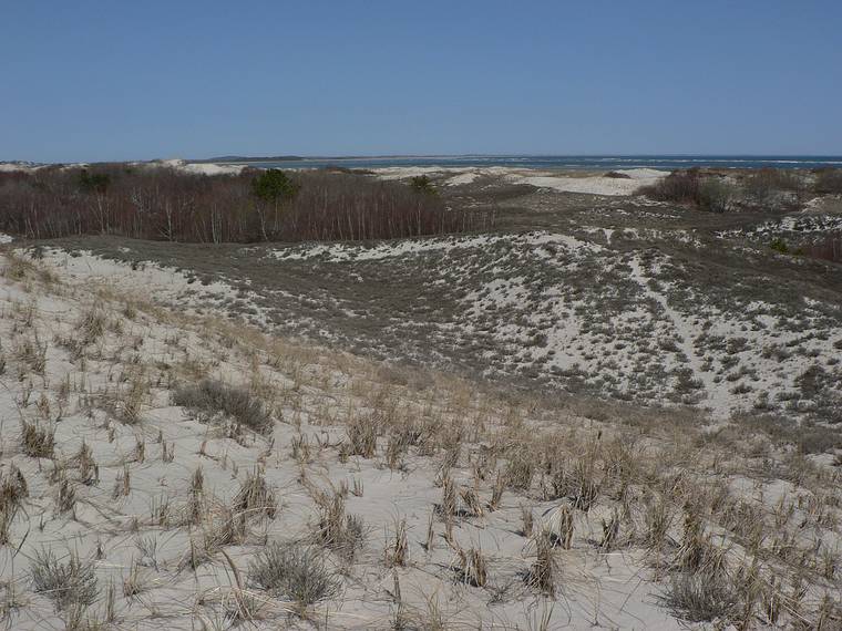 April 20, 2006 - Crane Beach, Ipswich, Massachusetts.