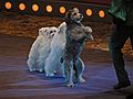 April 30, 2006 - City Hall Plaza, Boston, Massachusetts.<br />Dogs performing in the "Big Apple" circus.