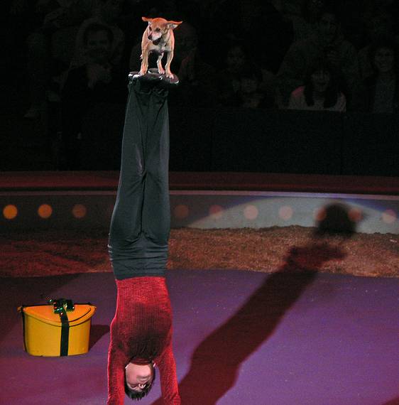 April 30, 2006 - City Hall Plaza, Boston, Massachusetts.<br />At the "Big Apple" circus.