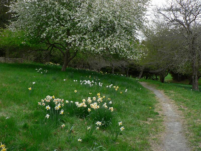 May 1, 2006 - Maudslay State Park, Newburyport, Massachusetts.