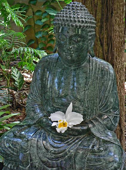 May 28, 2006 - Sarasota, Florida.<br />At the Marie Selby Botanical Gardens.