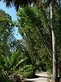 May 28, 2006 - Sarasota, Florida.<br />At the Marie Selby Botanical Gardens.