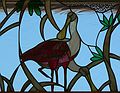May 28, 2006 - Sarasota, Florida.<br />At the Marie Selby Botanical Gardens.<br />Roseate Spoonbill on a gazebo.