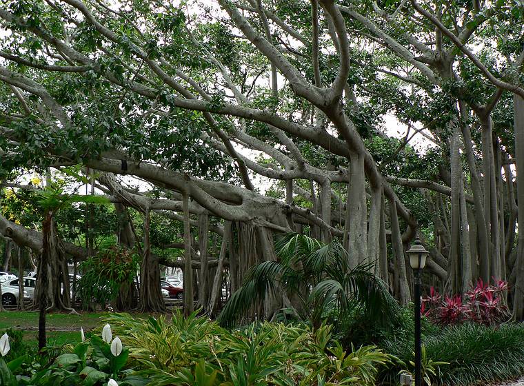 May 29, 2006 - Fort Myers, Florida.<br />Edison and Ford Winter Estates.