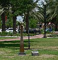 May 30, 2006 - Winter Haven, Florida.<br />Joyce Audy Zarins (Merrimac, MA), Optimism, 2005.<br />Fabricated bronze, 63 x 19 x 16.