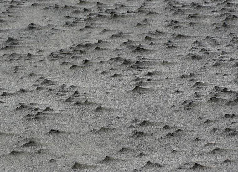 June 4, 2006 - Sandy Point State Reservation, Plum Island, Massachusetts.