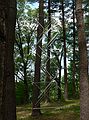 June 12, 2006 - Maudlay State Park, Newburyport, Massachusetts.<br />Outdoor Sculpture - Movement.<br />Lynne Havighurst, "Spatial Composition No. 1", aluminum tubing, metal, mesh grid.