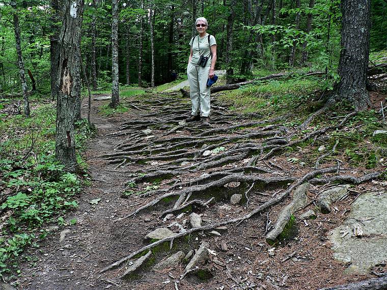June 13, 2006 - Pawtuckaway State Park, Nottingham, New Hampshire.<br />Baiba on rooted trail (South Ridge Trail) up South Mountain.