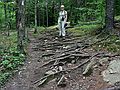 June 13, 2006 - Pawtuckaway State Park, Nottingham, New Hampshire.<br />Baiba on rooted trail (South Ridge Trail) up South Mountain.